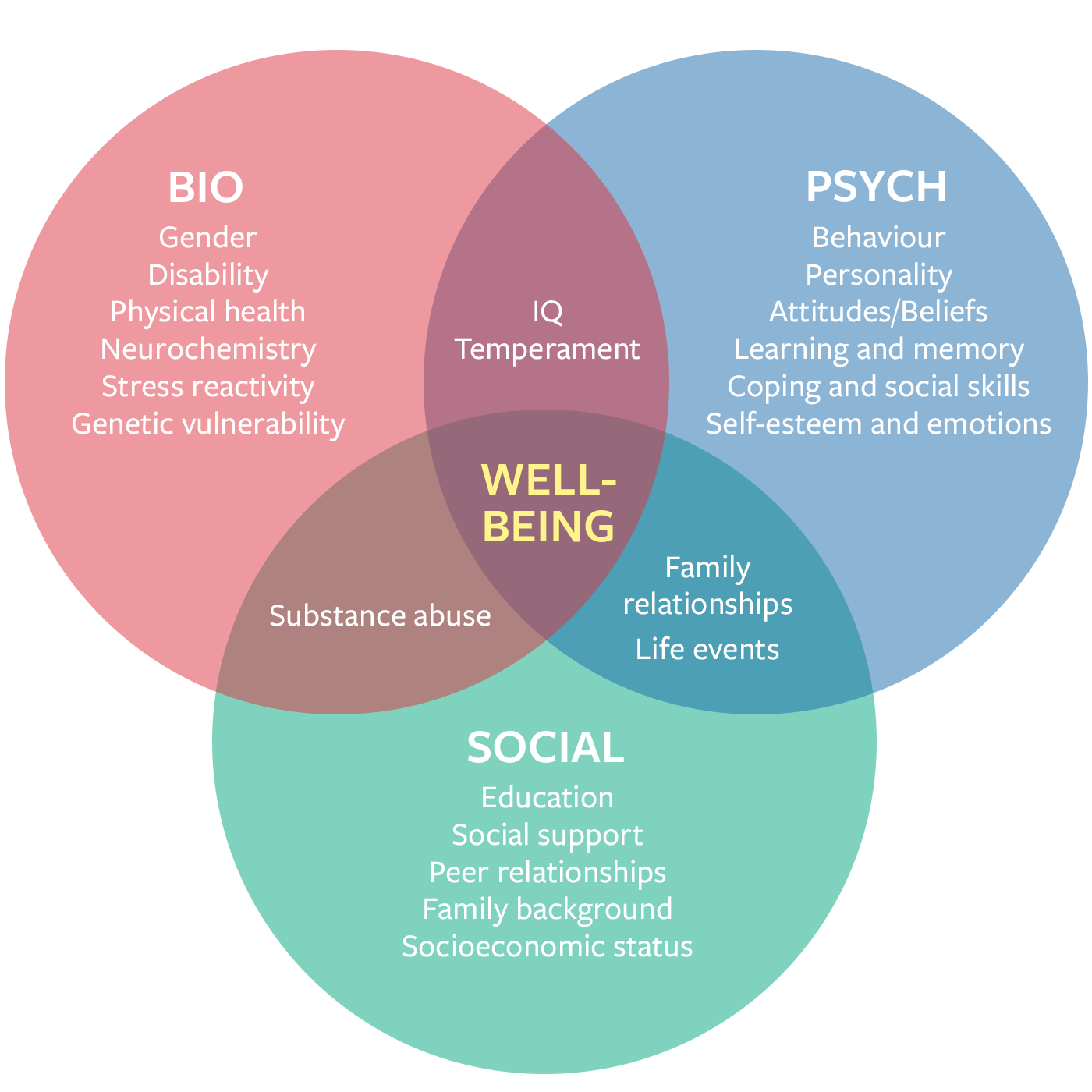 biopsychosocial model presentation