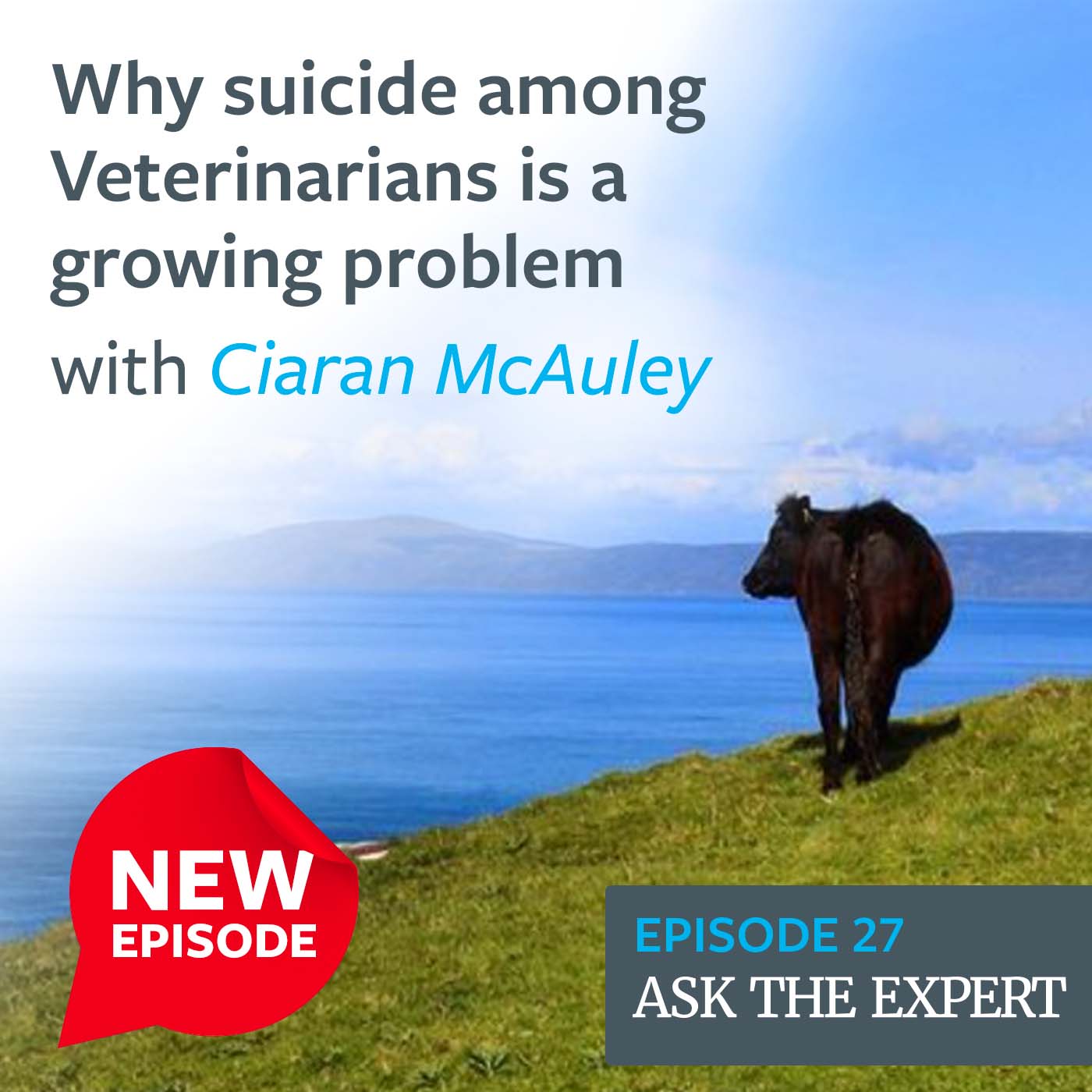 Human Givens Podcast - Episode 27: Why suicide among Veterinarians is a growing problem with Ciaran McAuley