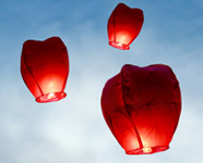 Effective Pain Management - Live online workshop