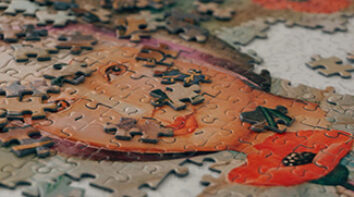 The social elephant in the room