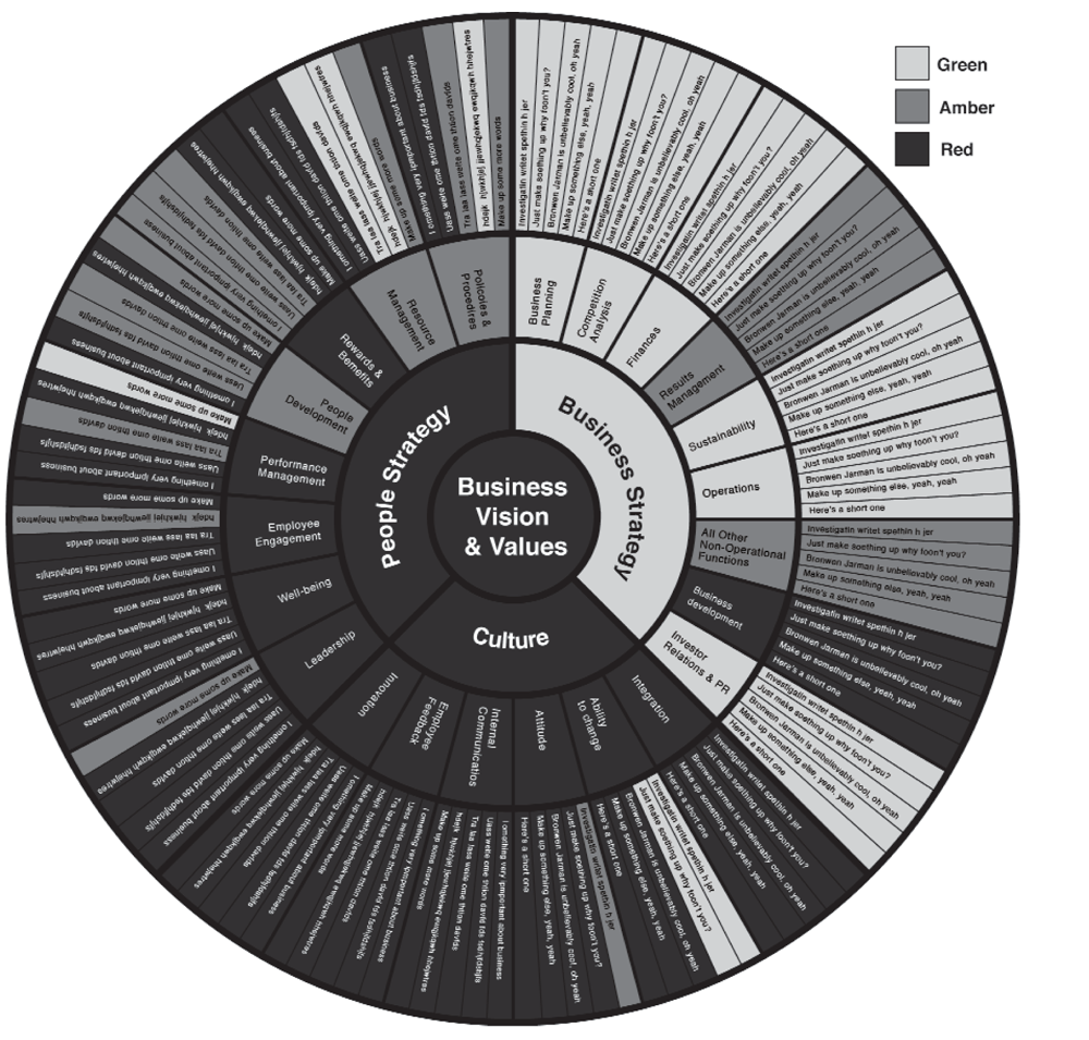 Business Diagnostic