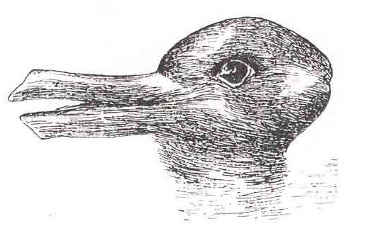 Duck or rabbit - Illusion